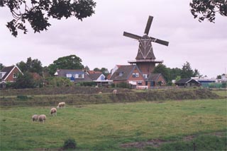 Dokkum from a far