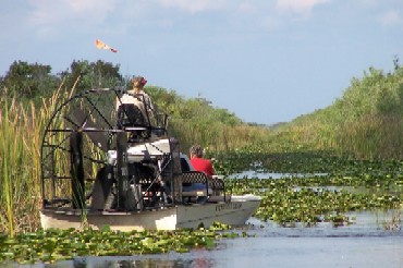The Zephyr guides took a trip to see the Everglades. Our airboat driver was famous and well-informed. He has been making Hollywood movies with the local wildlife for years! 