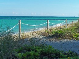 The Great EsSkate hotel backed up to gorgeous beachfront property. Our weekend weather was as balmy and picture perfect as could be.