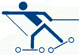 Roller Ski icon