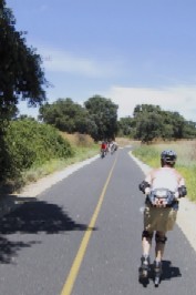 Liz exploring the Jed Smith trail in Sacramento